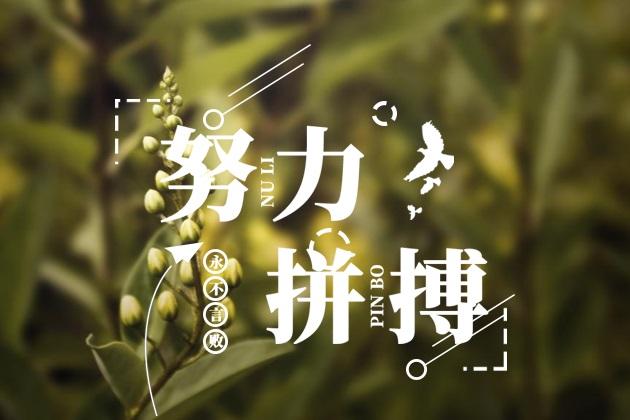  給我一份信任，還你10分滿意(圖3)